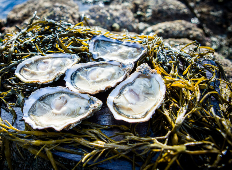 Seafood