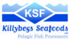 KILLYBEGS SEAFOODS LTD