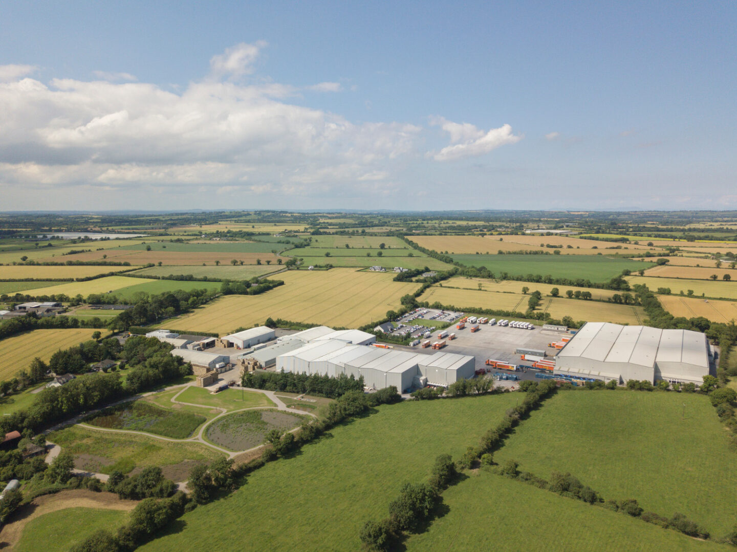 Sam Dennigan Co Irish Fresh Produce Supplier sam-dennigan-co-irish-fresh-produce-supplier