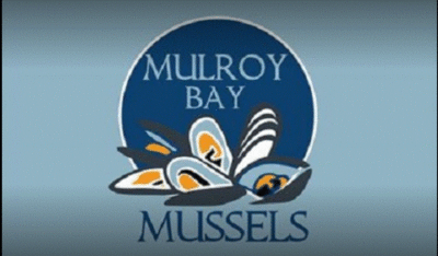 MULROY BAY MUSSELS