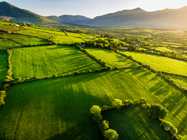 Green Field Ireland
