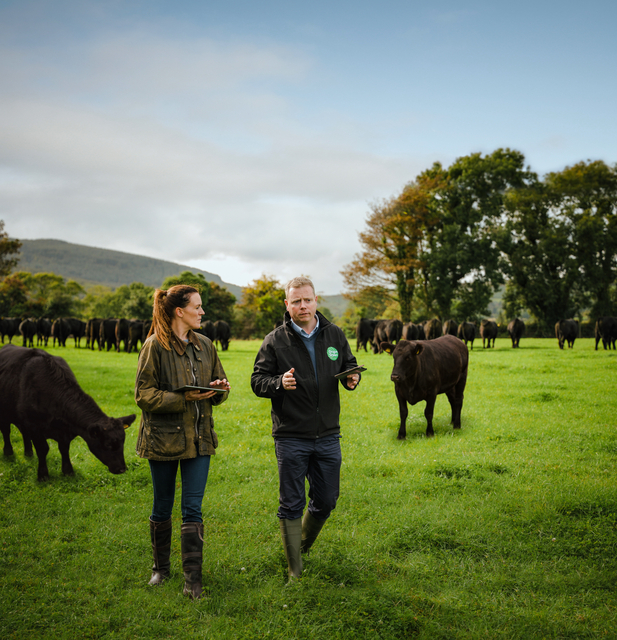 Independent auditor inspecting organic Angus beef cattle with Farmer