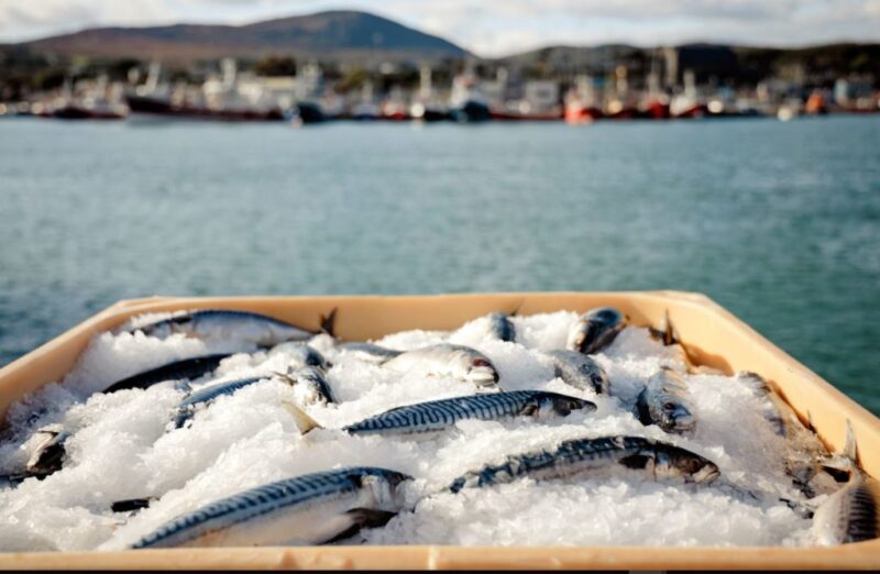 seafood in a crate