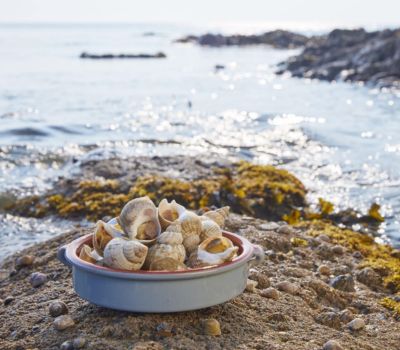 Whelks