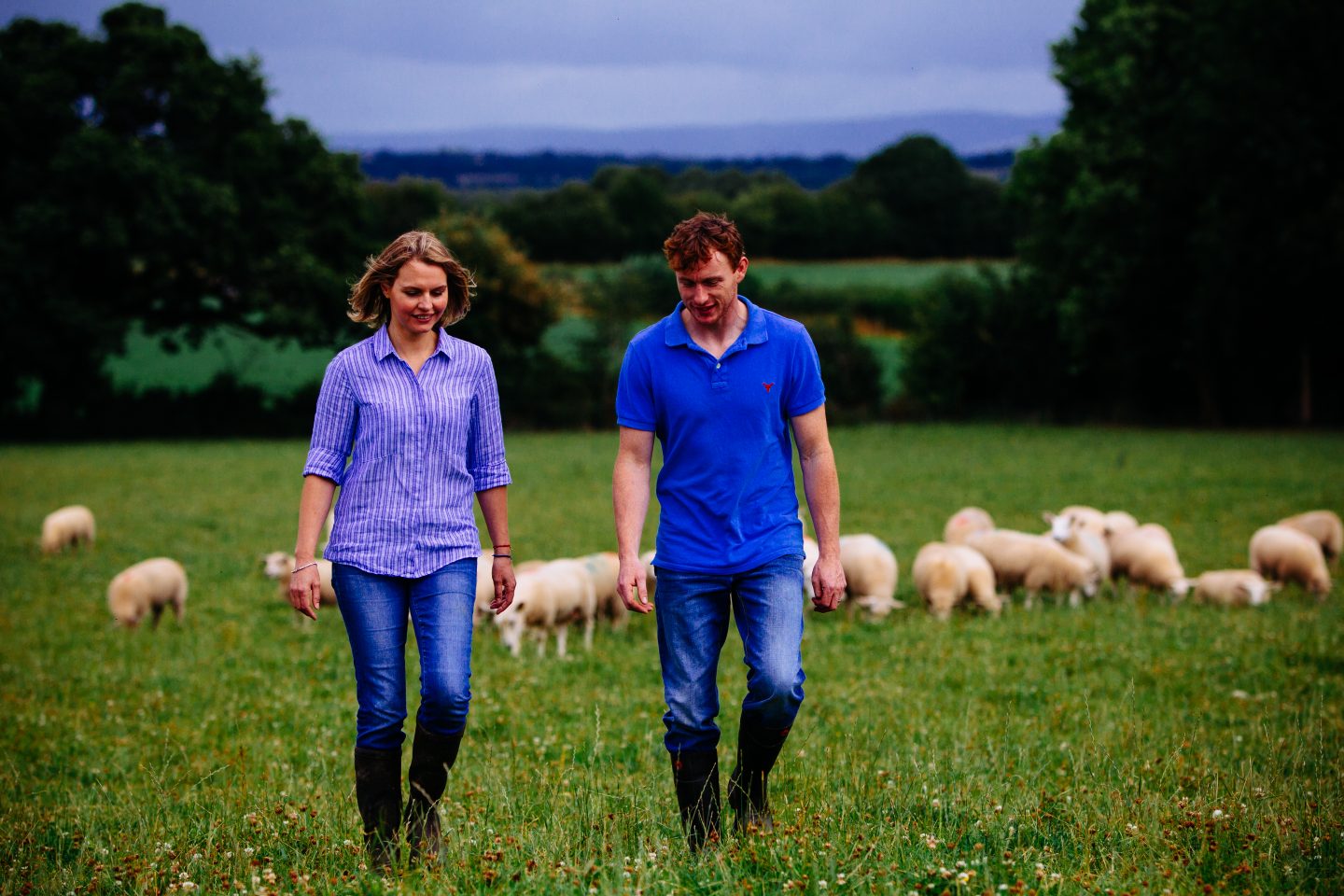 Lamb farmers walking in field
