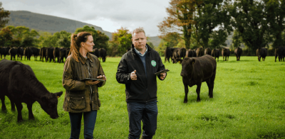 INDEPENDENT AUDITOR INSPECTING ORGANIC BEEF CATTLE WITH FARMER