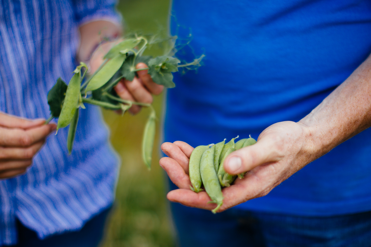 Category directors can lead the way on food sustainability. But the time to start is now.