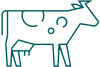 dairy cow icon