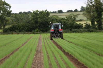 Tractor in field